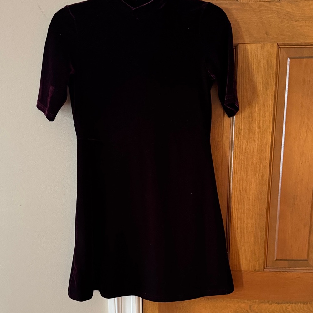 Dex Velvet Mini Dress in Rich Burgundy